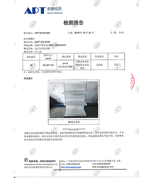 檢測報告